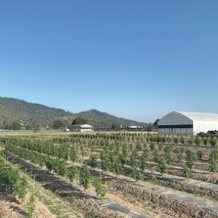 Farm at harvest time
